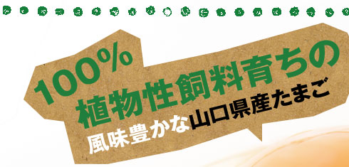 100%植物性飼料育ちの風味豊かな山口県産たまご