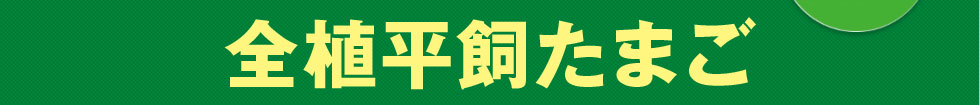 全植平飼たまご