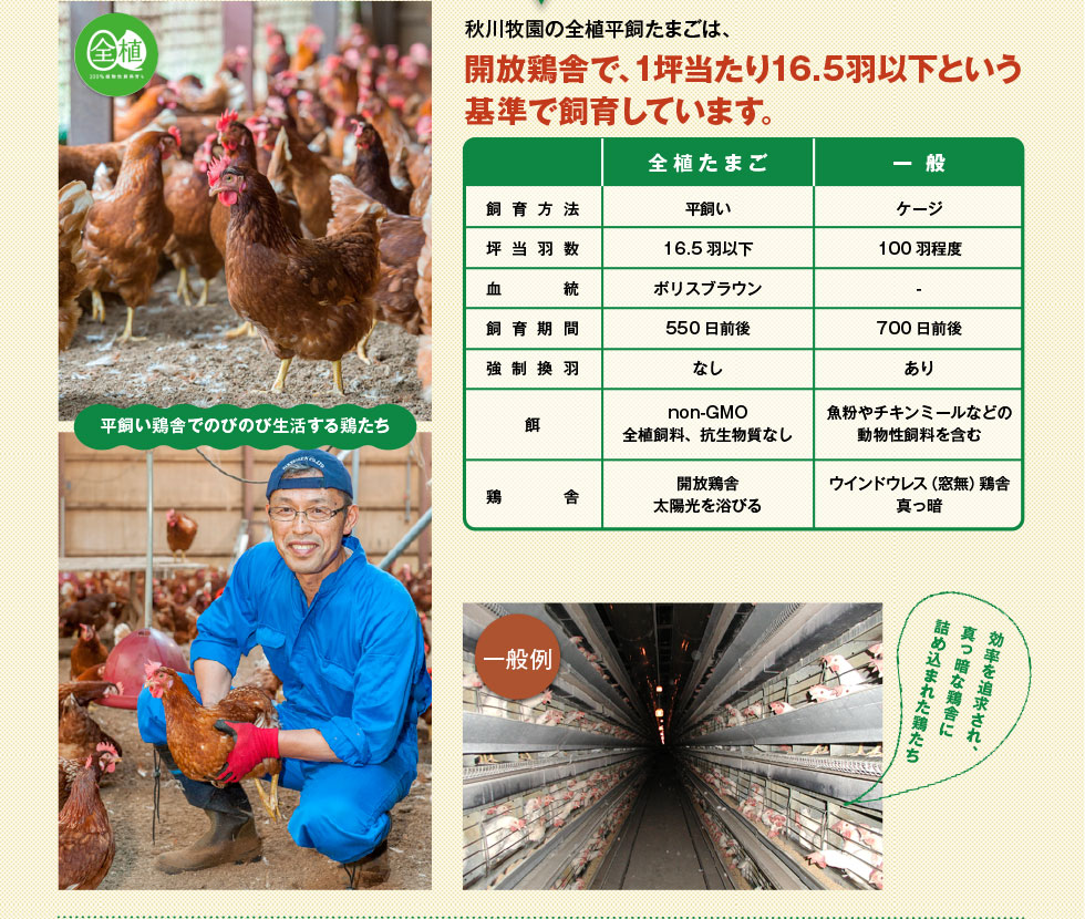 秋川牧園の全植平飼たまごは、開放鶏舎で、1坪当たり16.5羽以下という基準で飼育しています。