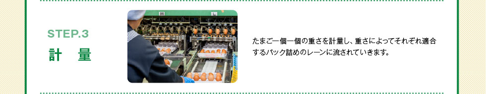 計量　たまご一個一個の重さを計量し、重さによってそれぞれ適合するパック詰めのレーンに流されていきます。