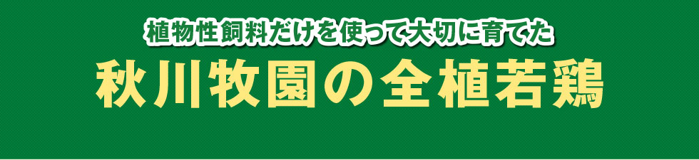 植物性飼料だけを使って大切に育てた秋川牧園の全植若鶏