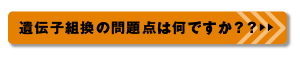 遺伝子組換の問題点は何ですか？？