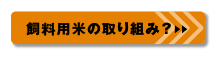 飼料用米の取り組み？